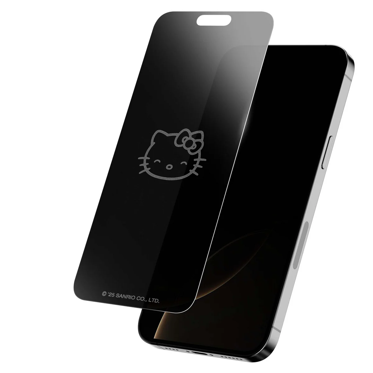 Privacy Screen Protector